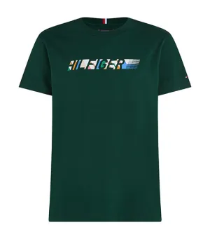 Men's Multicolour Hilfiger Tee Hunter