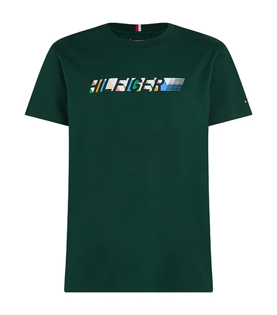 Men's Multicolour Hilfiger Tee Hunter