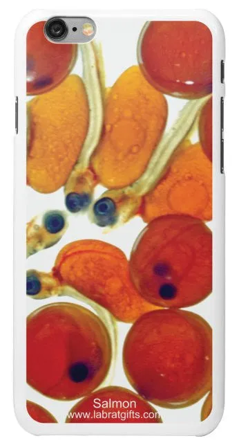 "Salmon" - iPhone 6/6s Case